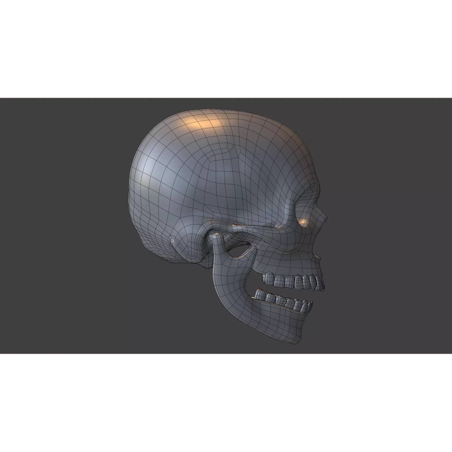 Human Skull - Low-Poly Game-Ready 3D Model - View 24