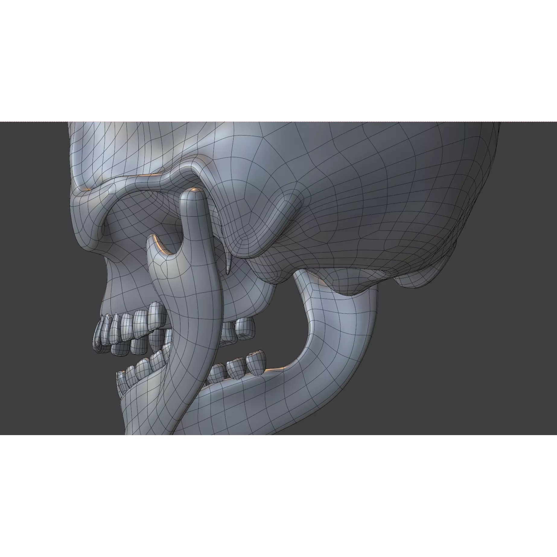 Human Skull - Low-Poly Game-Ready 3D Model - View 25