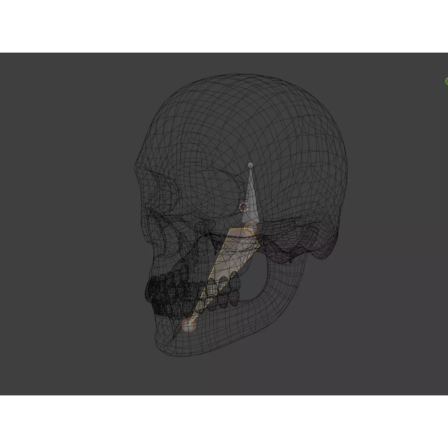 Human Skull - Low-Poly Game-Ready 3D Model - View 28