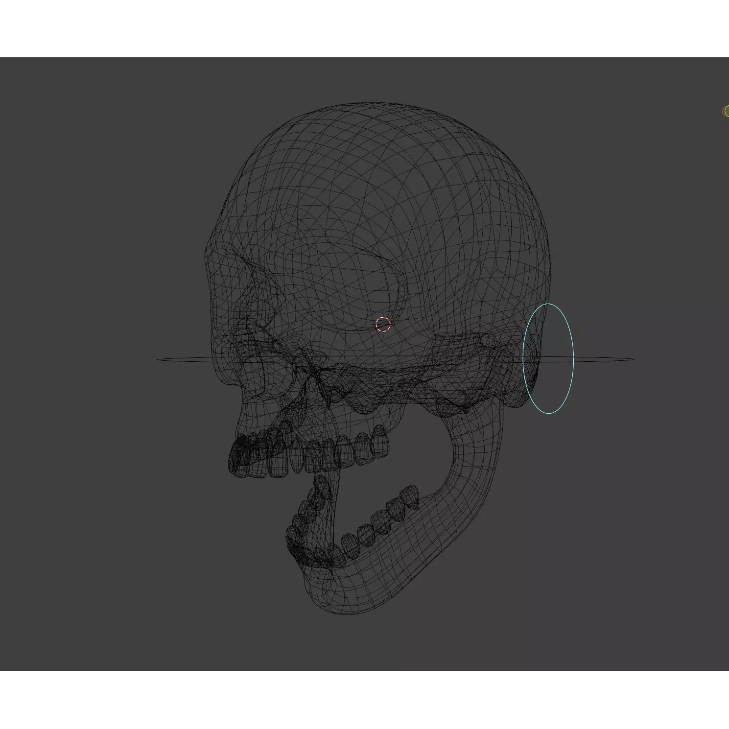 Human Skull - Low-Poly Game-Ready 3D Model - View 29