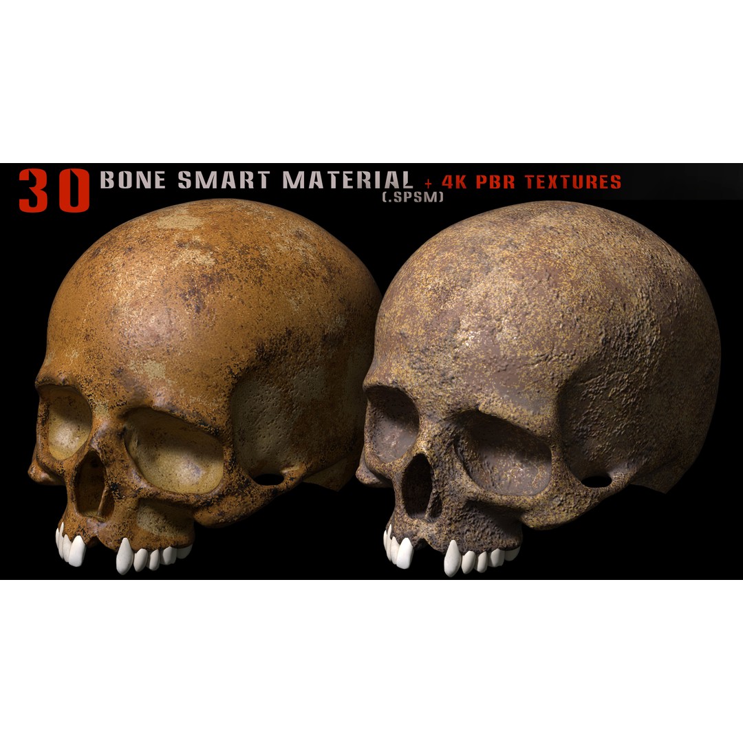 Bone Smart Material 3D Model – High Quality PBR Textures, Substance Painter - View 10