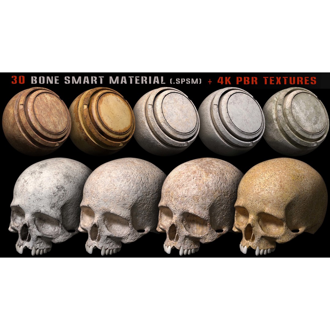 Bone Smart Material 3D Model – High Quality PBR Textures, Substance Painter - View 11