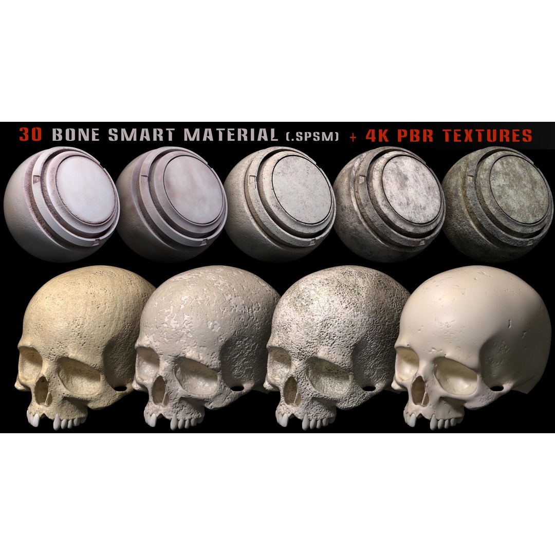 Bone Smart Material 3D Model – High Quality PBR Textures, Substance Painter - View 3