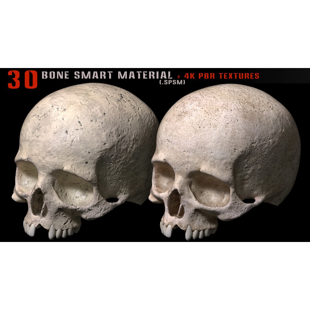 Bone Smart Material 3D Model – High Quality PBR Textures, Substance Painter - View 5