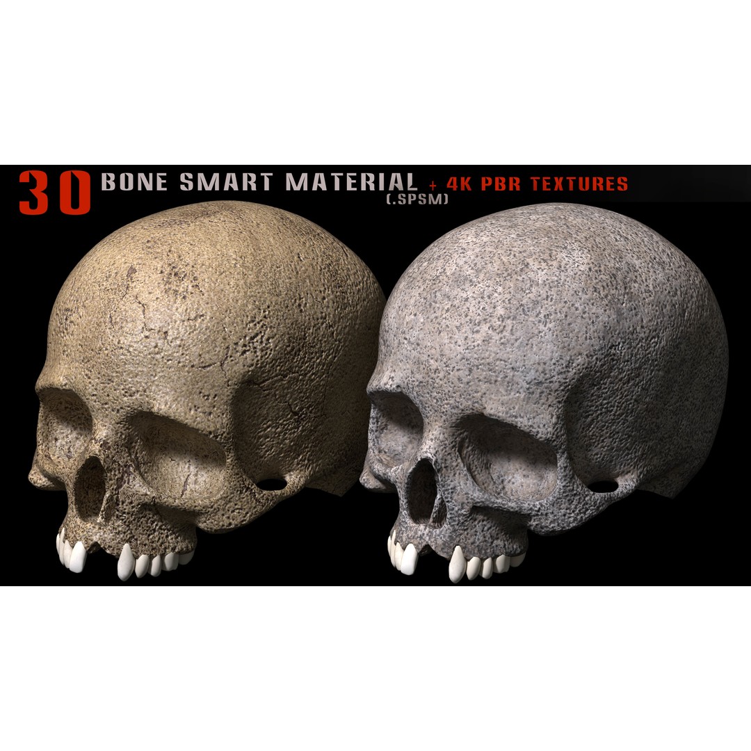 Bone Smart Material 3D Model – High Quality PBR Textures, Substance Painter - View 8