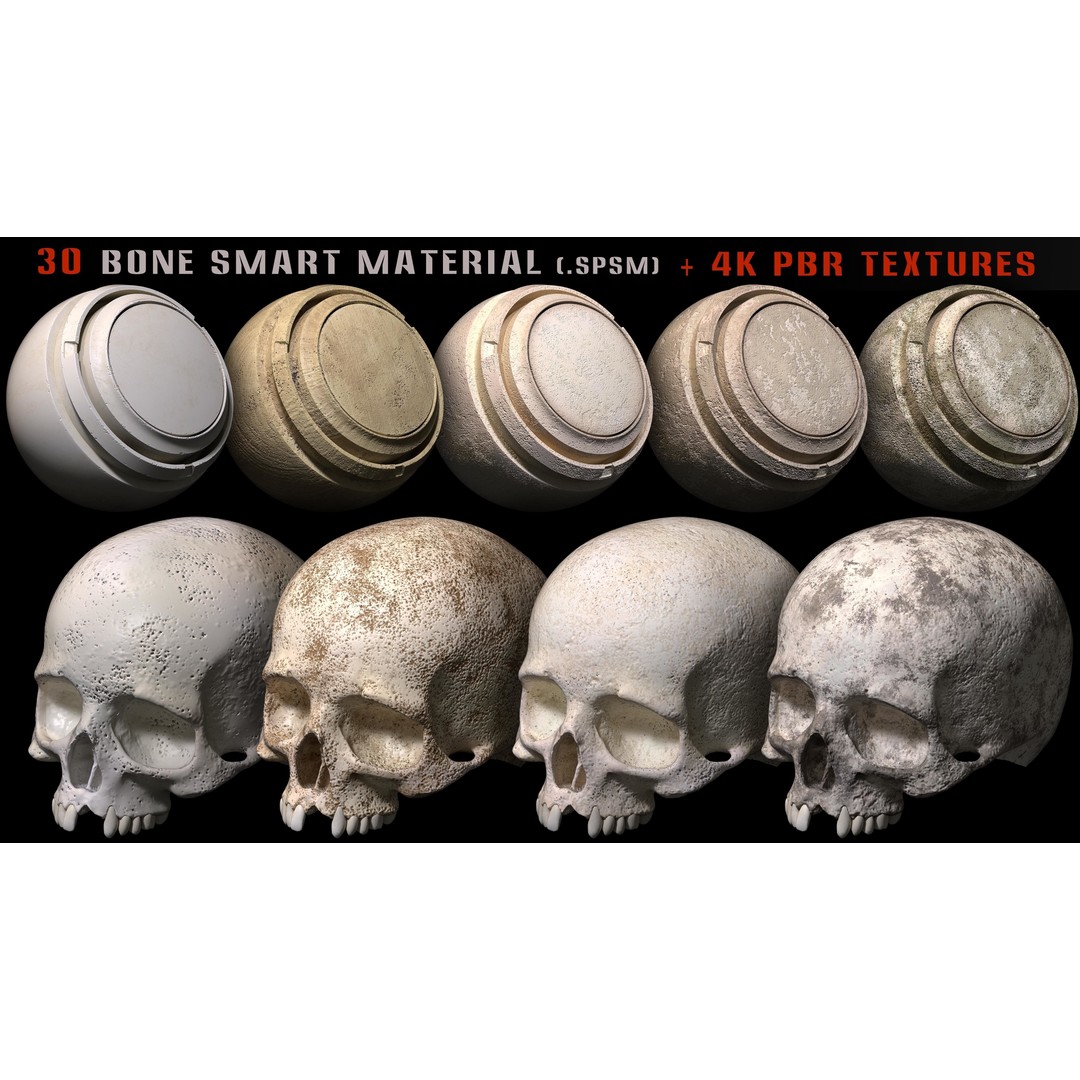 Bone Smart Material 3D Model – High Quality PBR Textures, Substance Painter - View 9