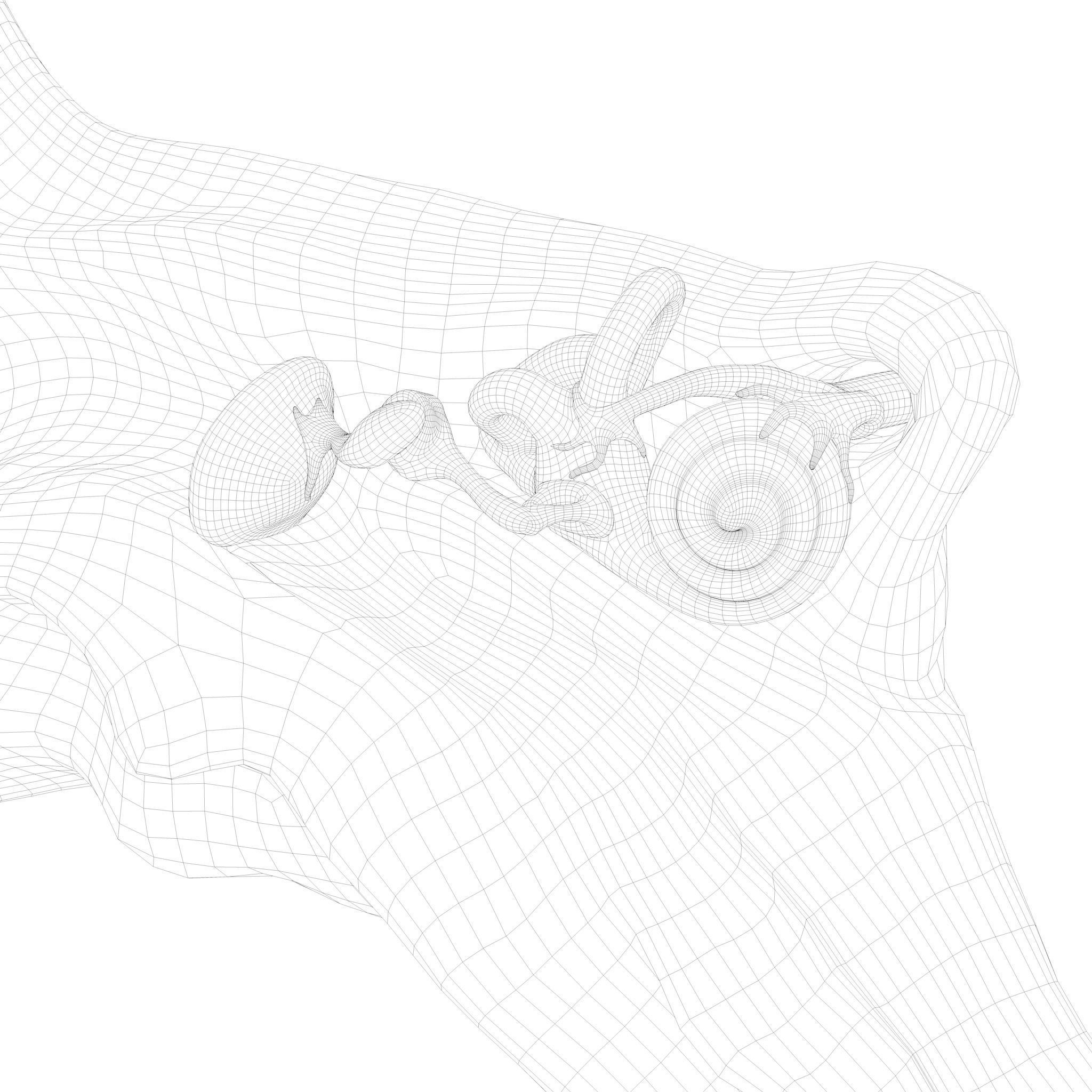 Cross Section Ear Anatomy - Game-Ready 3D Model - View 10