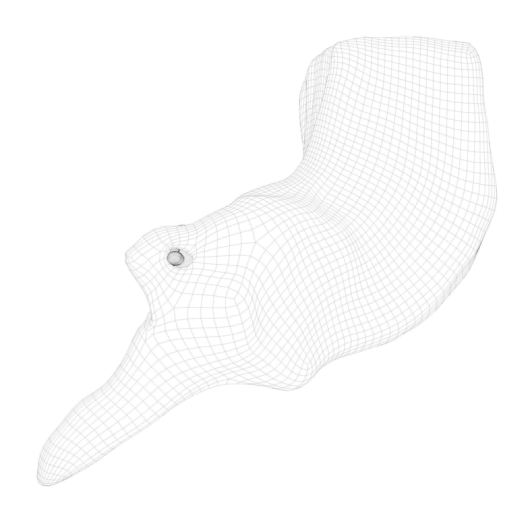 Cross Section Ear Anatomy - Game-Ready 3D Model - View 11