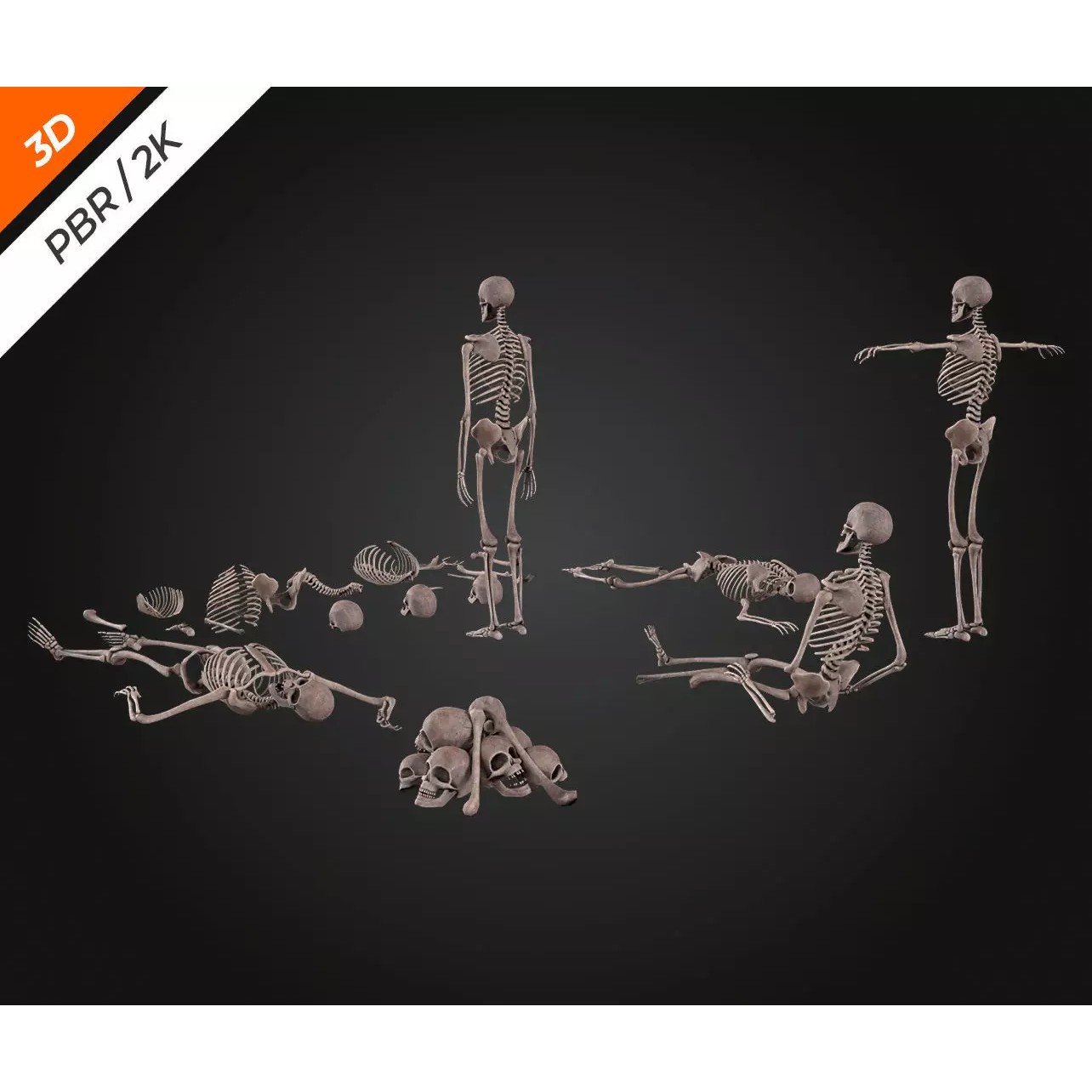 Skeleton Bone - Low-Poly Game-Ready 3D Model - View 13