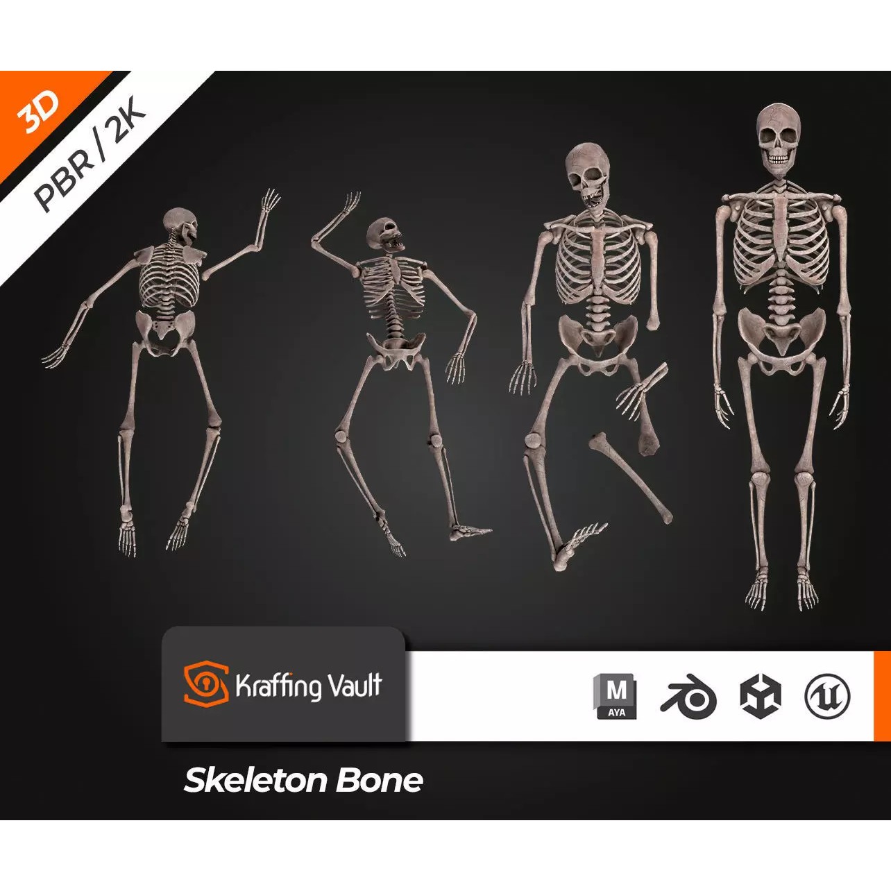 Skeleton Bone - Low-Poly Game-Ready 3D Model - View 2