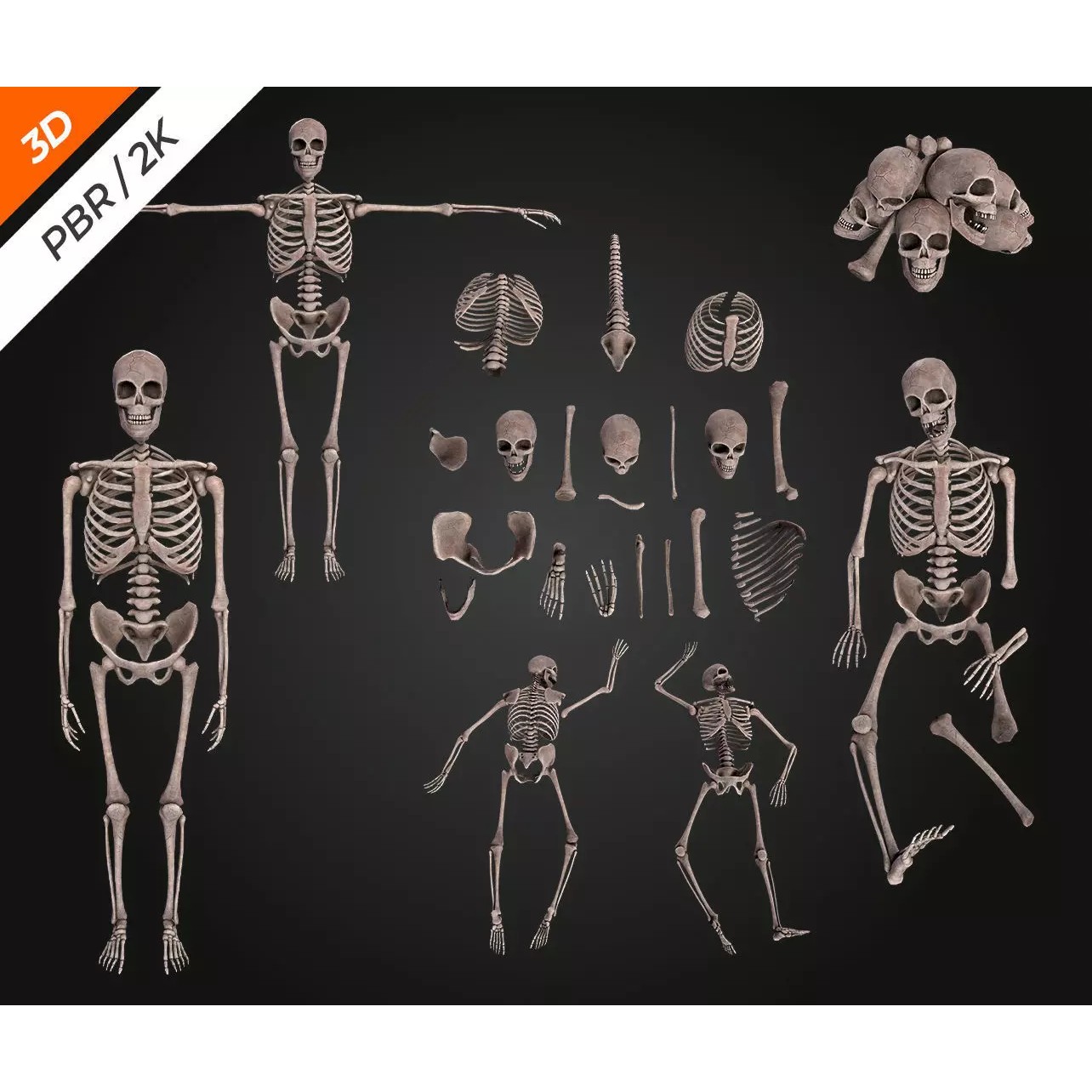 Skeleton Bone - Low-Poly Game-Ready 3D Model - View 3