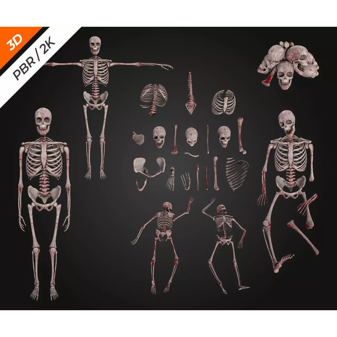 Skeleton Bone - Low-Poly Game-Ready 3D Model - View 4