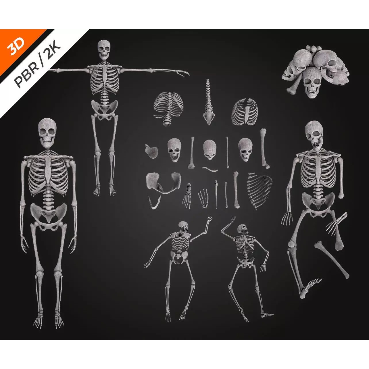 Skeleton Bone - Low-Poly Game-Ready 3D Model - View 5