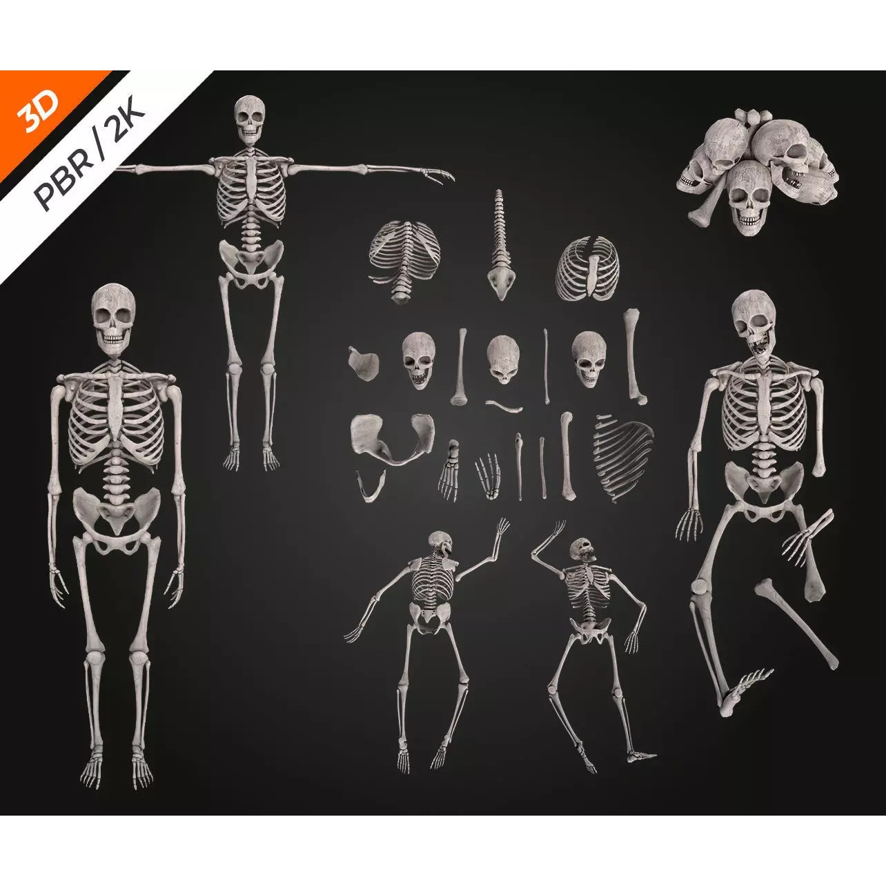 Skeleton Bone - Low-Poly Game-Ready 3D Model - View 6
