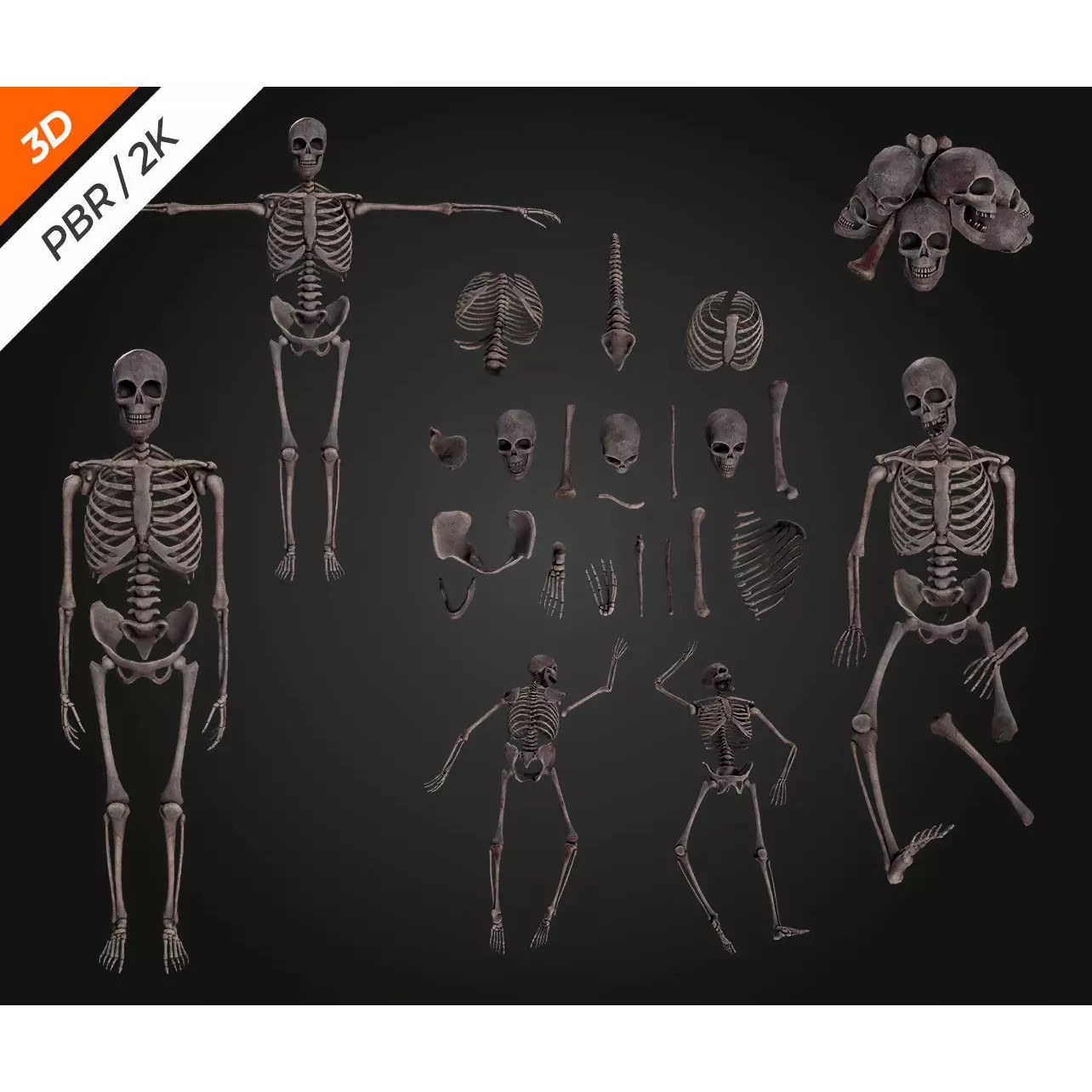 Skeleton Bone - Low-Poly Game-Ready 3D Model - View 8