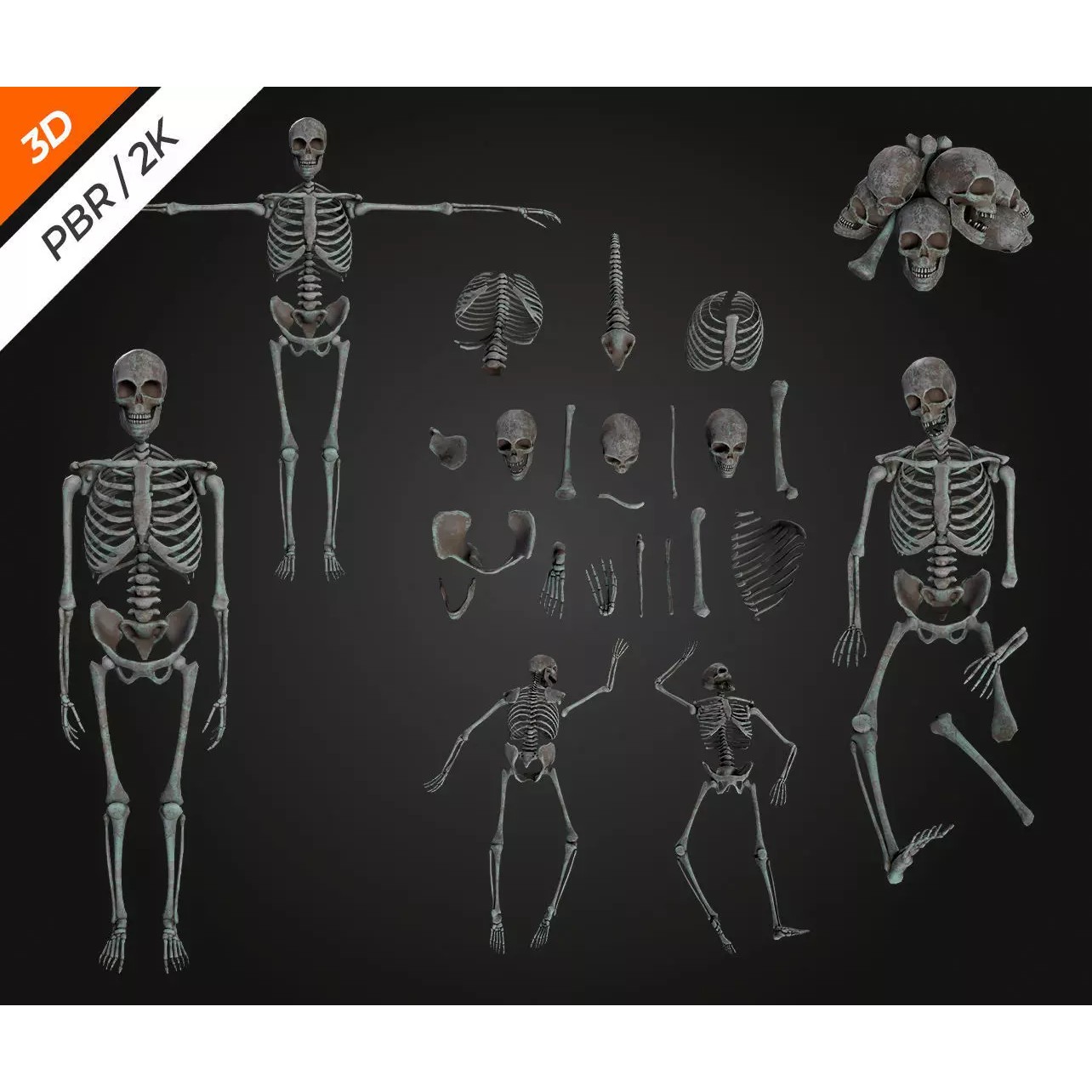 Skeleton Bone - Low-Poly Game-Ready 3D Model - View 9