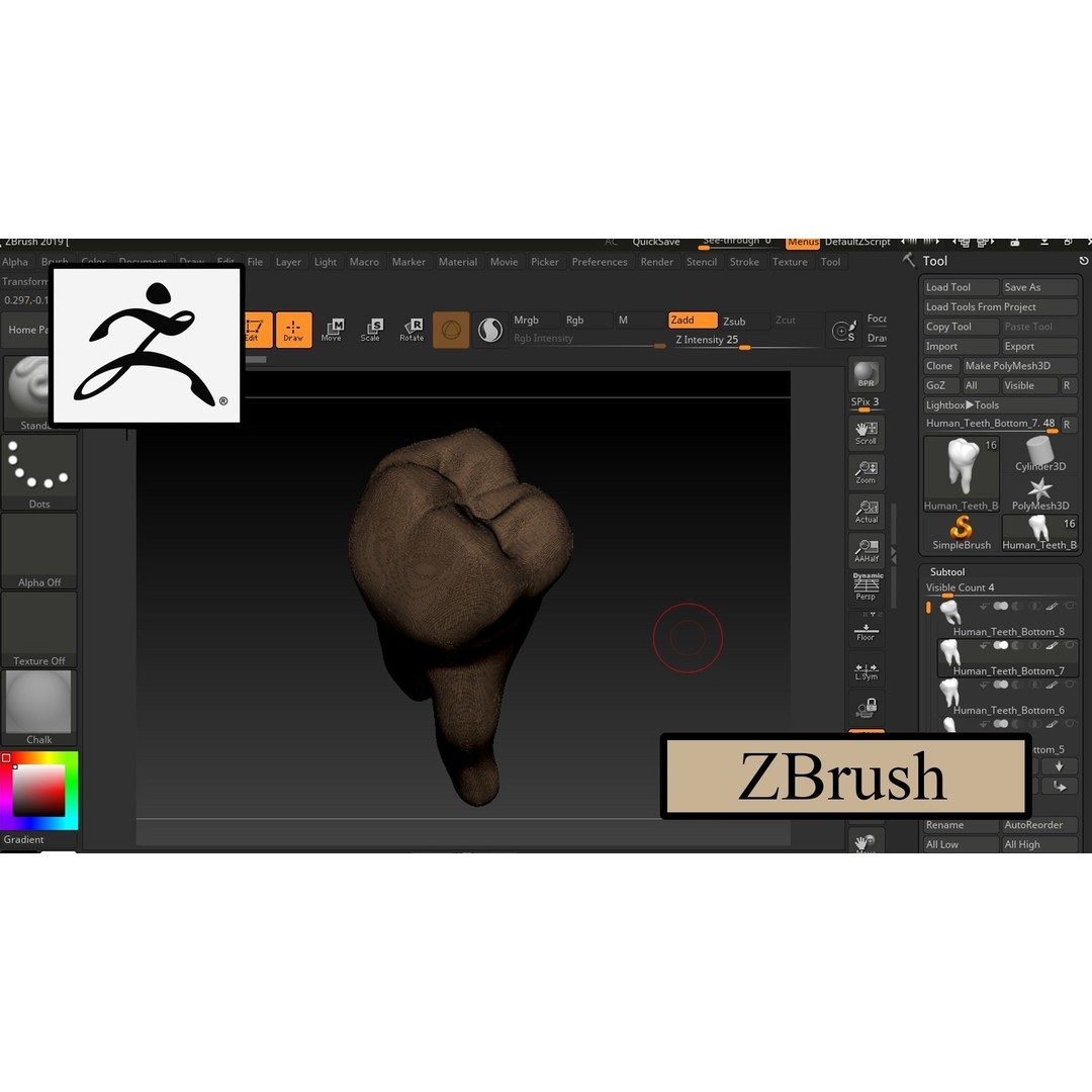 Great Teeth Pack 3D Model – Low Poly Game Asset, PBR Textures - View 10