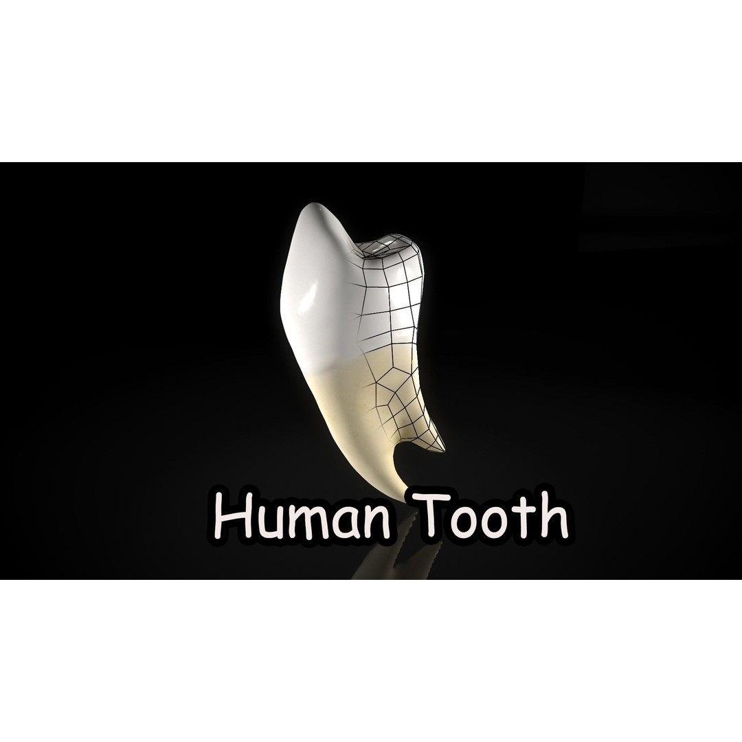 Great Teeth Pack 3D Model – Low Poly Game Asset, PBR Textures - View 11