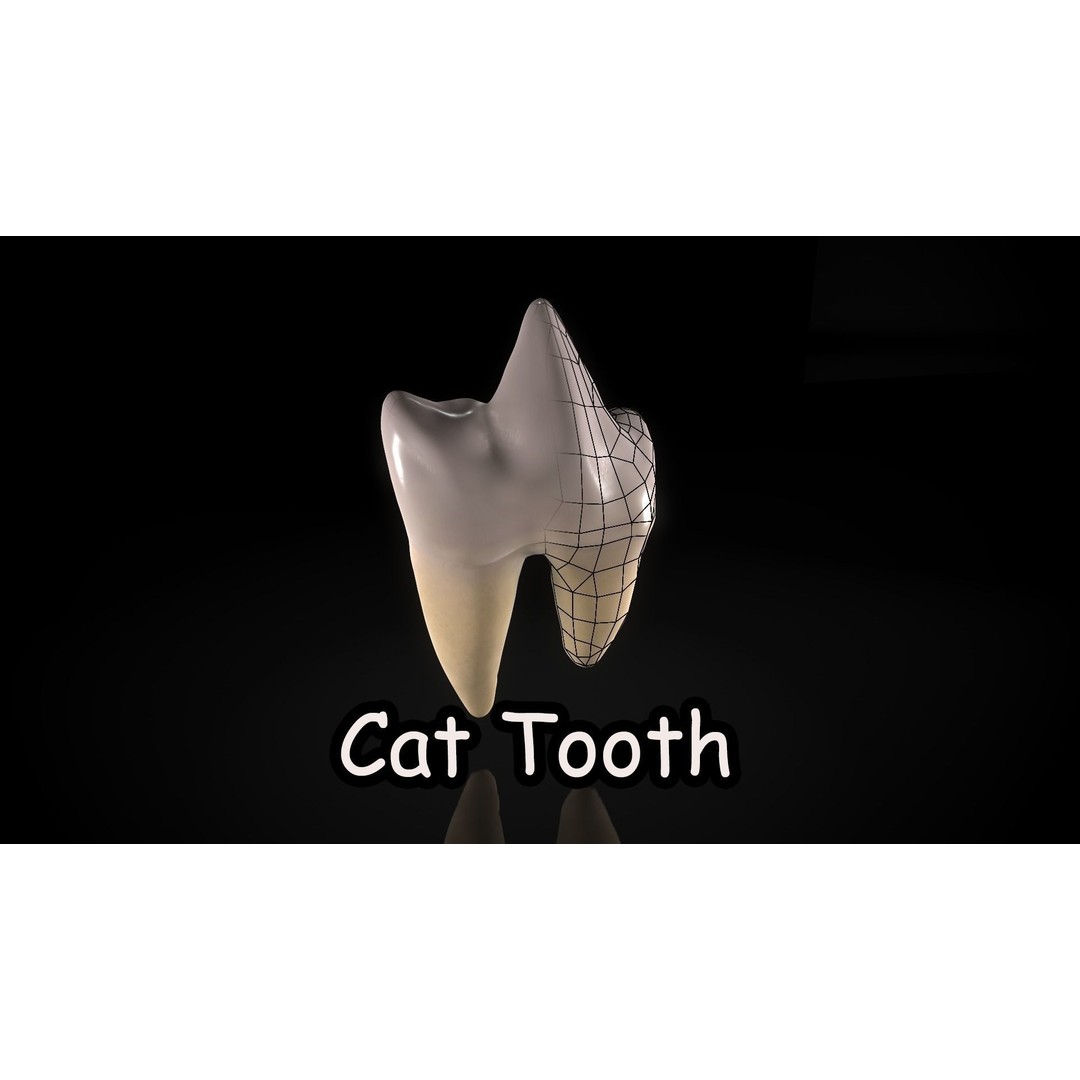 Great Teeth Pack 3D Model – Low Poly Game Asset, PBR Textures - View 13