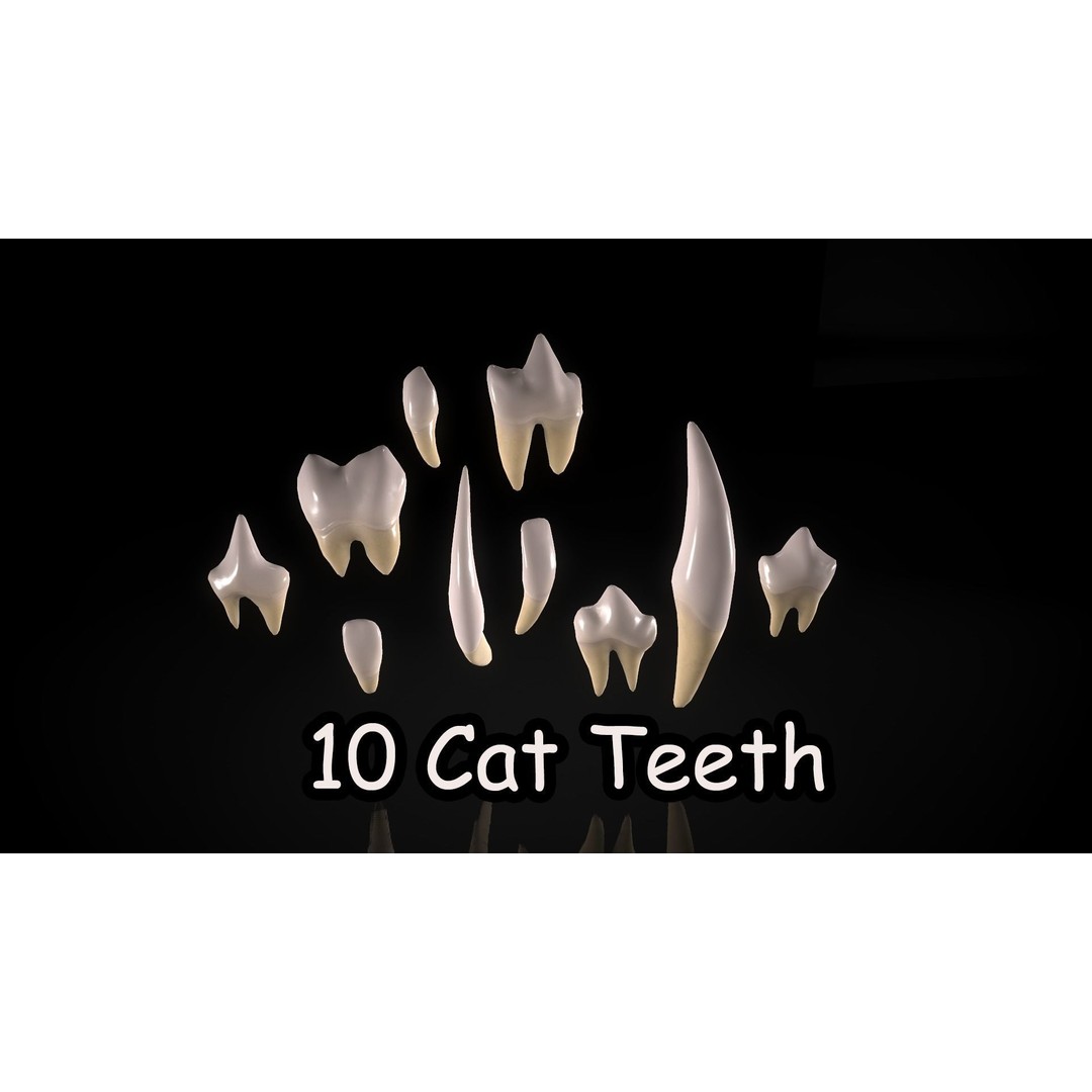 Great Teeth Pack 3D Model – Low Poly Game Asset, PBR Textures - View 14