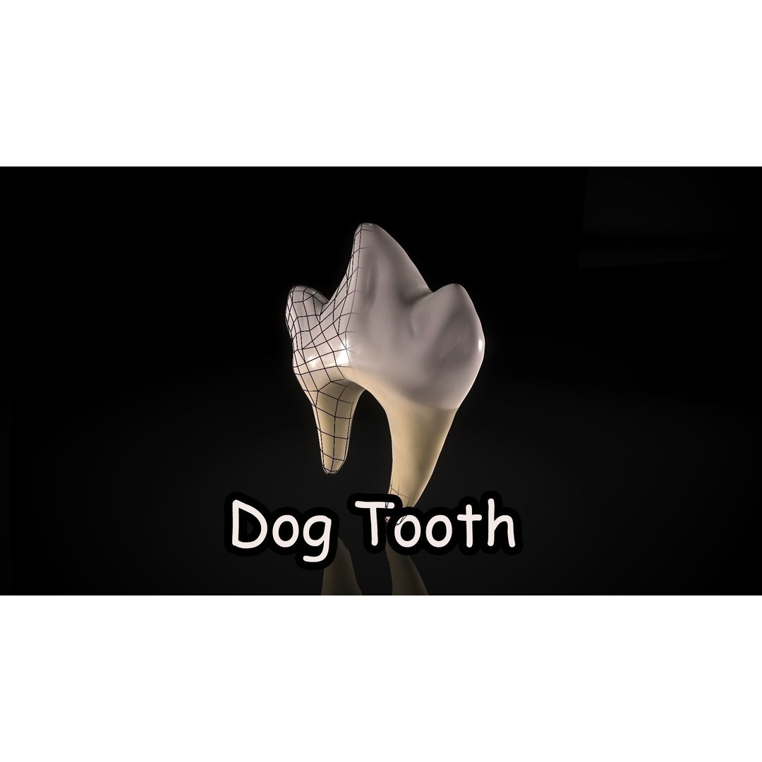 Great Teeth Pack 3D Model – Low Poly Game Asset, PBR Textures - View 17