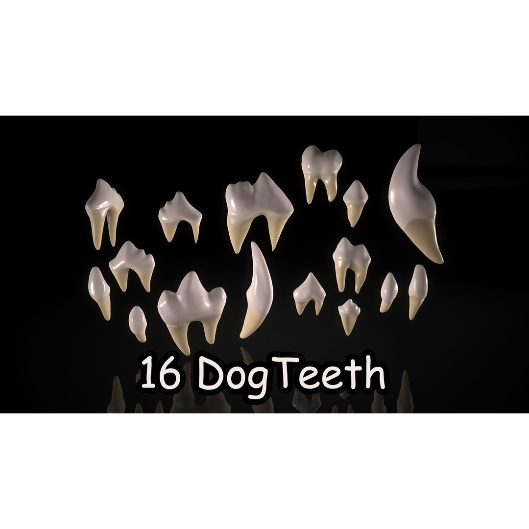 Great Teeth Pack 3D Model – Low Poly Game Asset, PBR Textures - View 18
