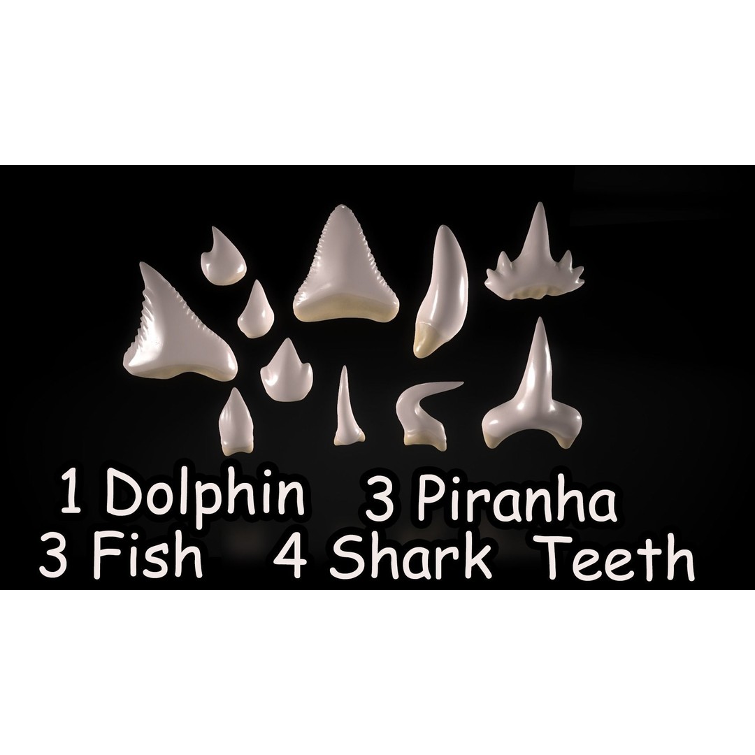 Great Teeth Pack 3D Model – Low Poly Game Asset, PBR Textures - View 20