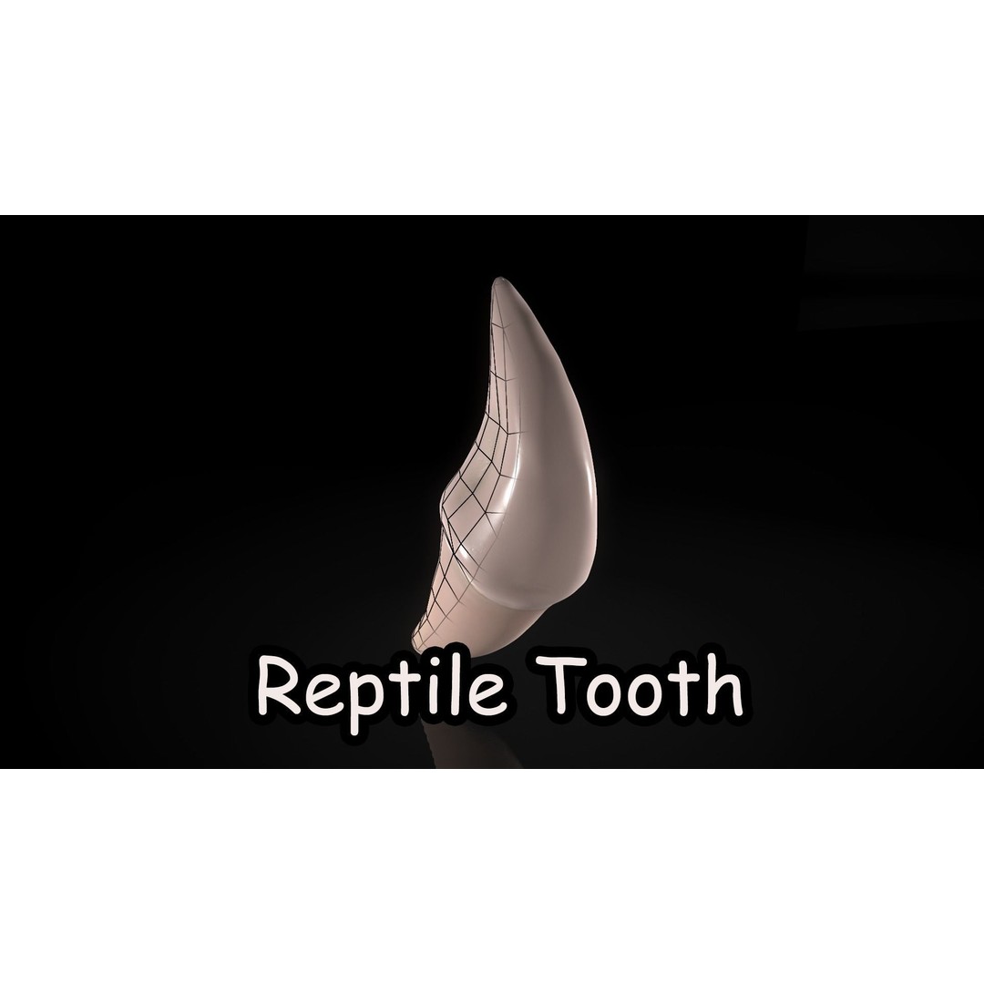 Great Teeth Pack 3D Model – Low Poly Game Asset, PBR Textures - View 21