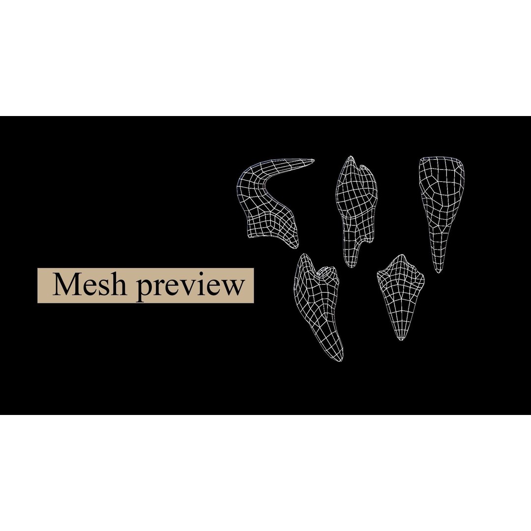 Great Teeth Pack 3D Model – Low Poly Game Asset, PBR Textures - View 29