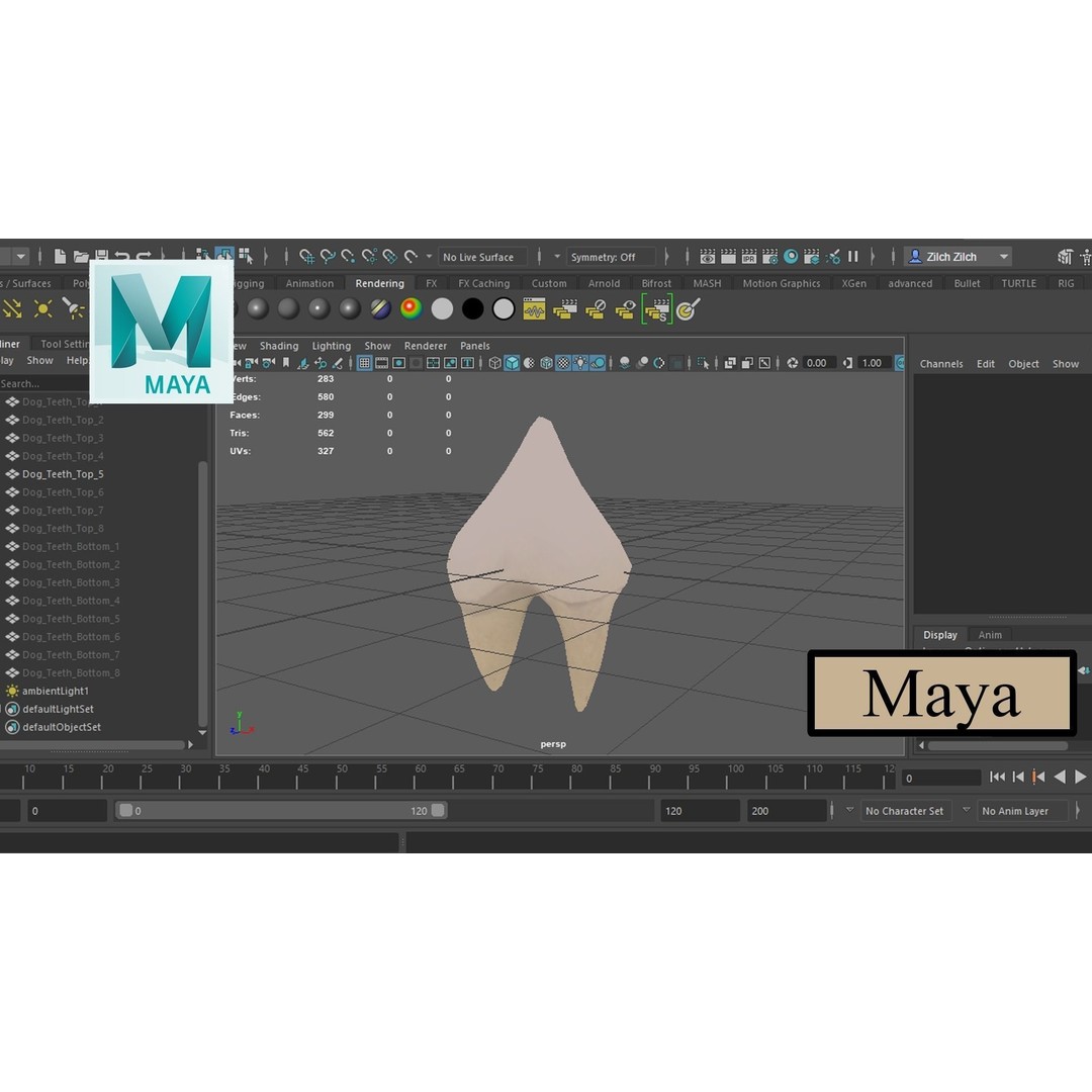 Great Teeth Pack 3D Model – Low Poly Game Asset, PBR Textures - View 7