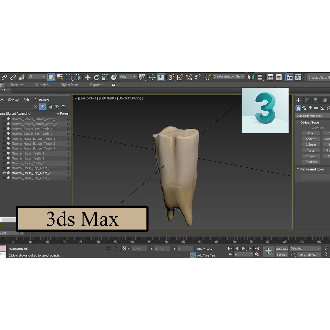 Great Teeth Pack 3D Model – Low Poly Game Asset, PBR Textures - View 9