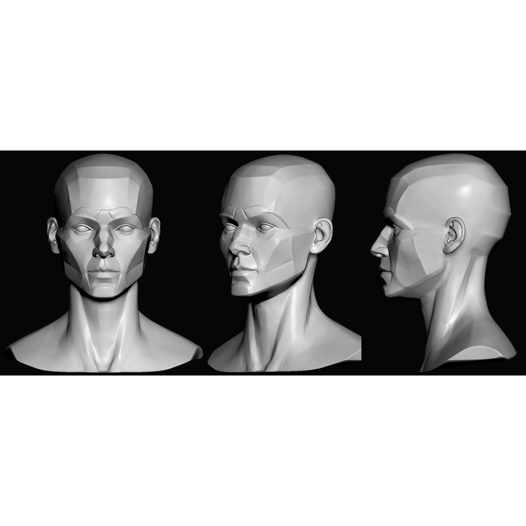Female 3D Model – Anatomical Bust for Study, OBJ Format - View 3