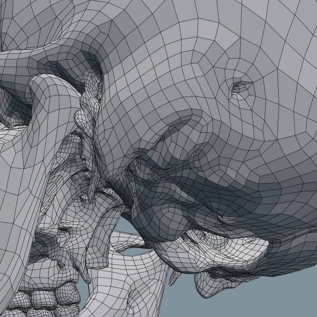 Photorealistic Human Skull 3D Model – High Poly & Medium Poly Formats for Animation - View 20
