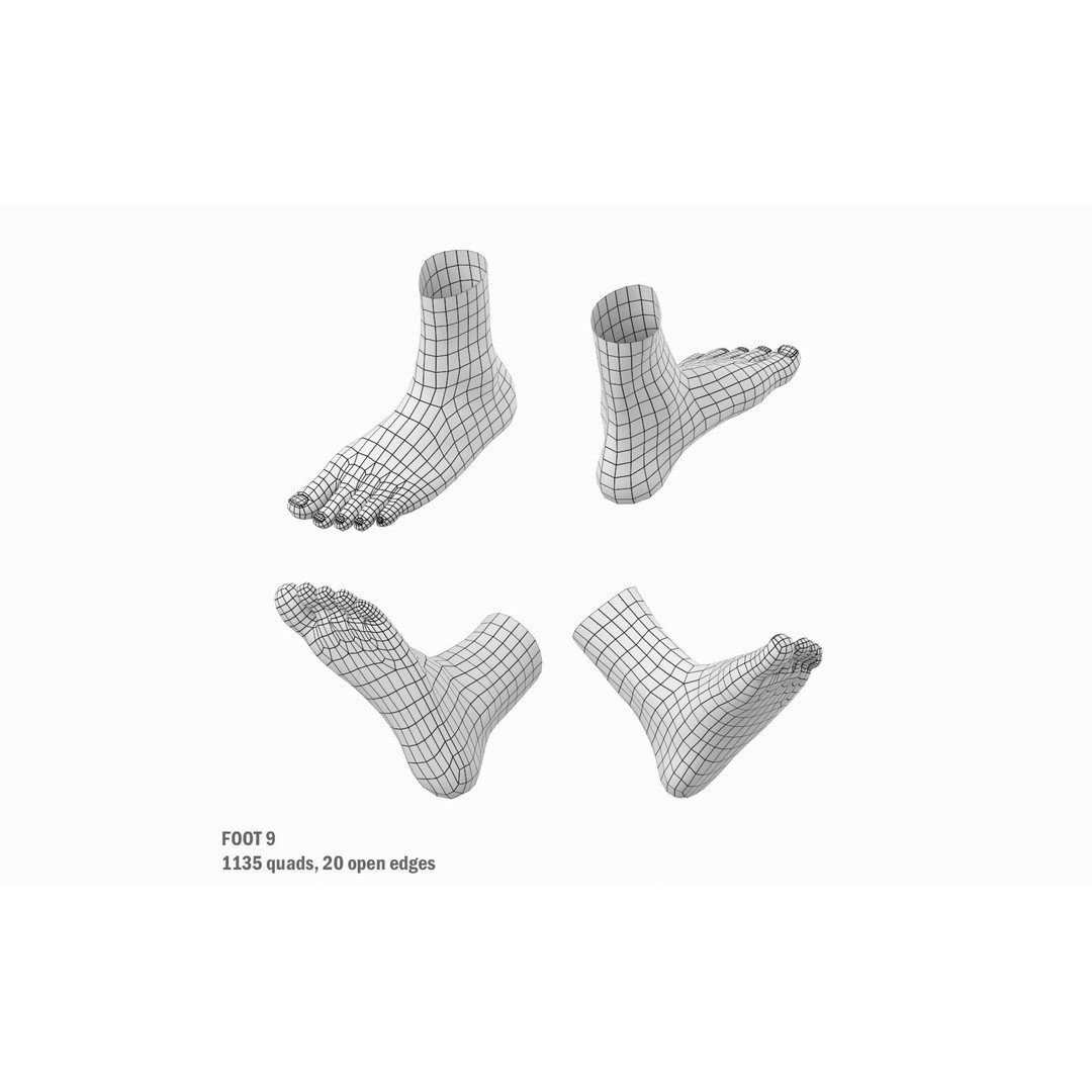Human Foot Base Mesh Kit 3D Model – Anatomically Accurate Low Poly FBX