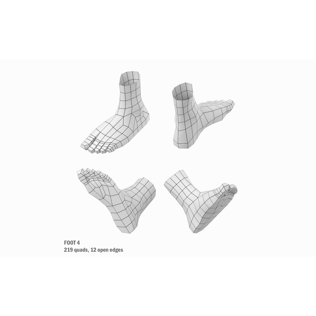 Human Foot Base Mesh Kit 3D Model – Anatomically Accurate Low Poly FBX - View 17