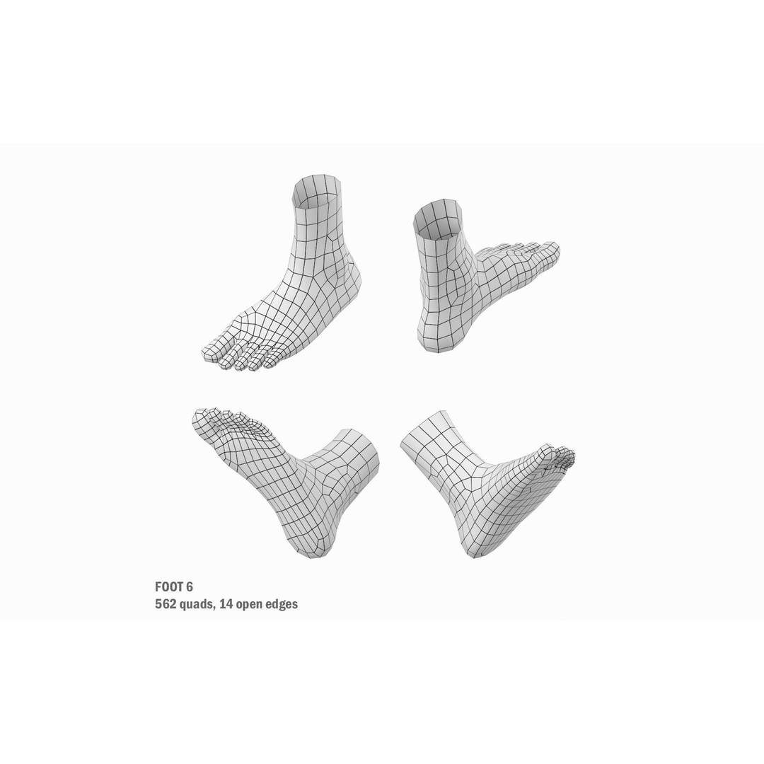 Human Foot Base Mesh Kit 3D Model – Anatomically Accurate Low Poly FBX - View 19
