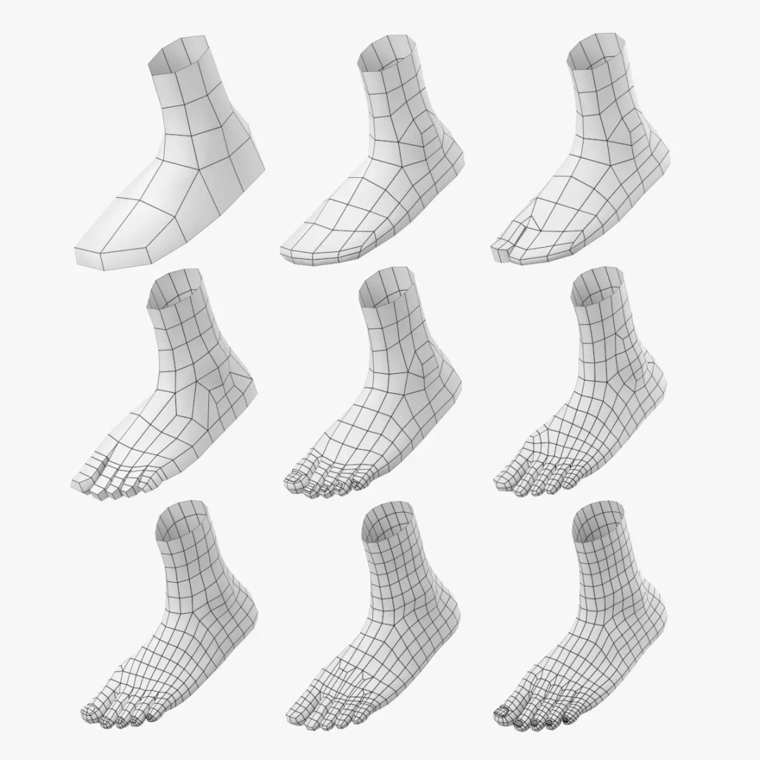 Human Foot Base Mesh Kit 3D Model – Anatomically Accurate Low Poly FBX - View 2