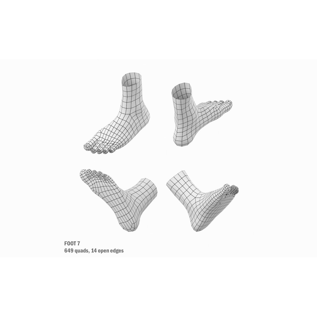 Human Foot Base Mesh Kit 3D Model – Anatomically Accurate Low Poly FBX - View 20