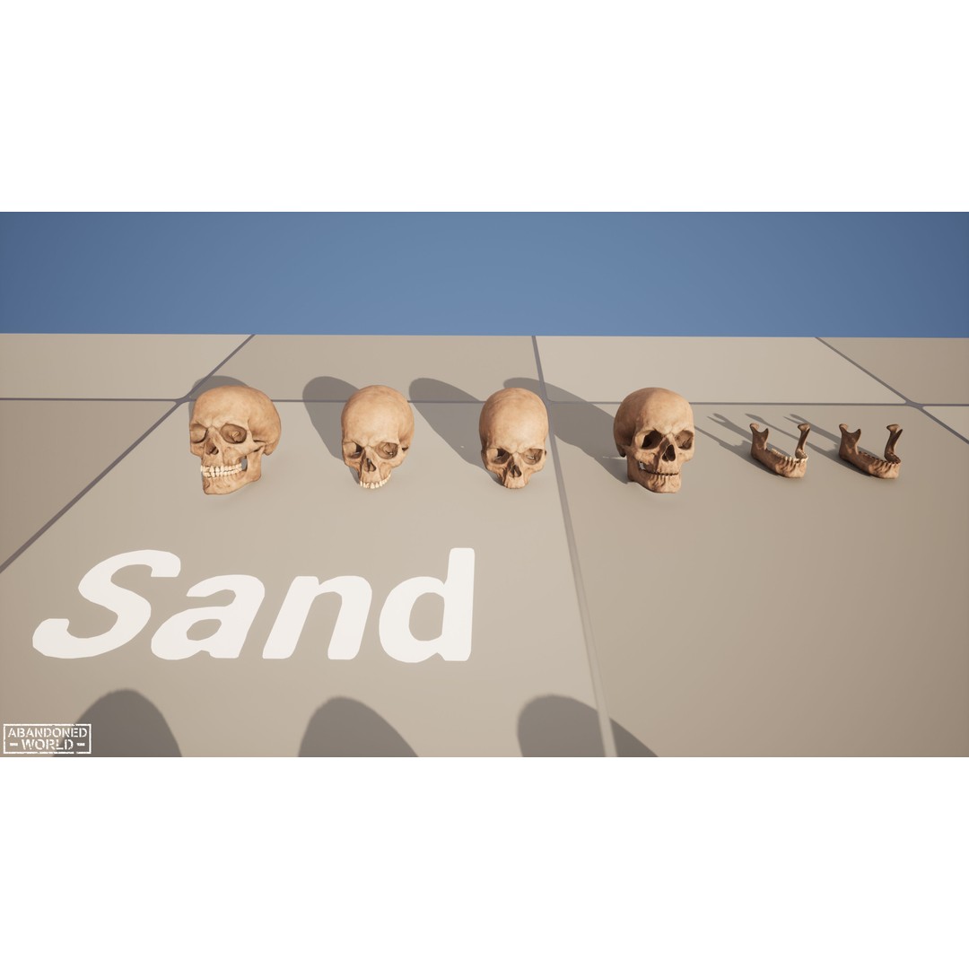 Human Skull 3D Model – Low Poly Game Ready Asset, FBX, PBR