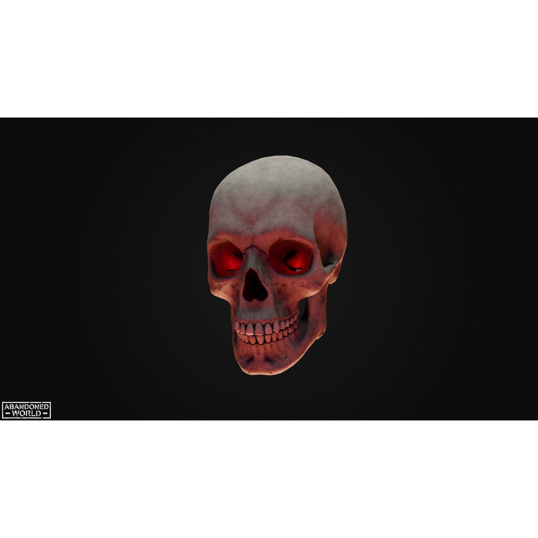 Human Skull 3D Model – Low Poly Game Ready Asset, FBX, PBR - View 12