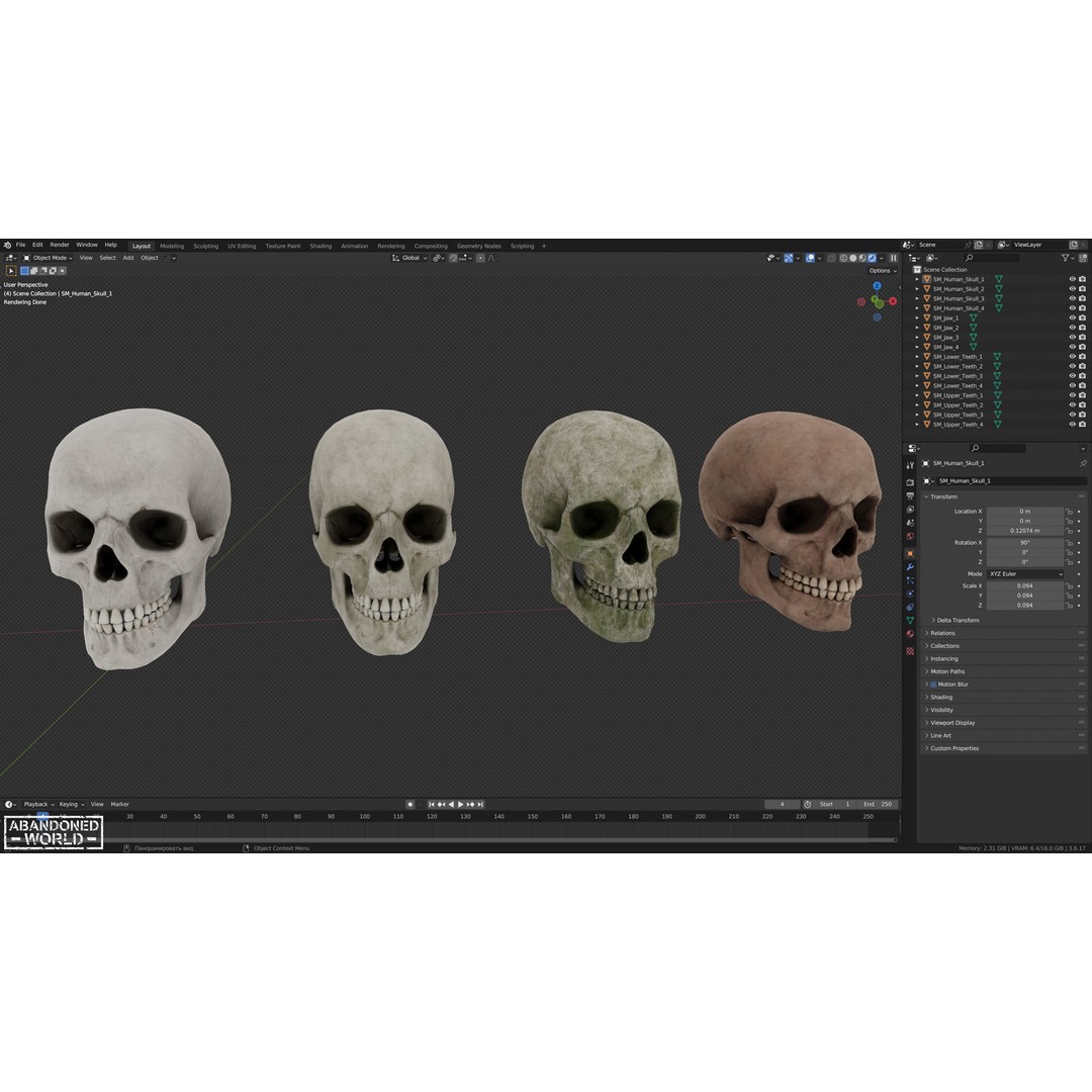 Human Skull 3D Model – Low Poly Game Ready Asset, FBX, PBR - View 13