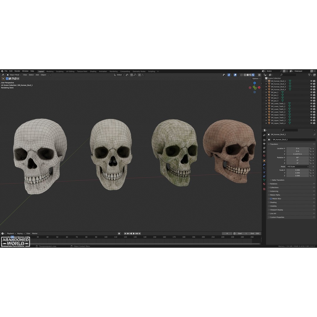 Human Skull 3D Model – Low Poly Game Ready Asset, FBX, PBR - View 14