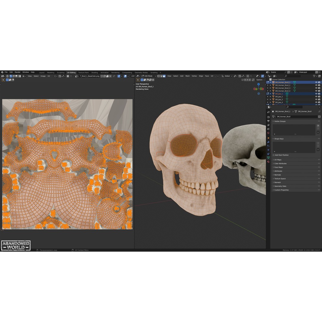 Human Skull 3D Model – Low Poly Game Ready Asset, FBX, PBR - View 16