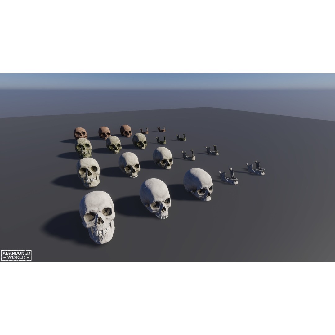 Human Skull 3D Model – Low Poly Game Ready Asset, FBX, PBR - View 17