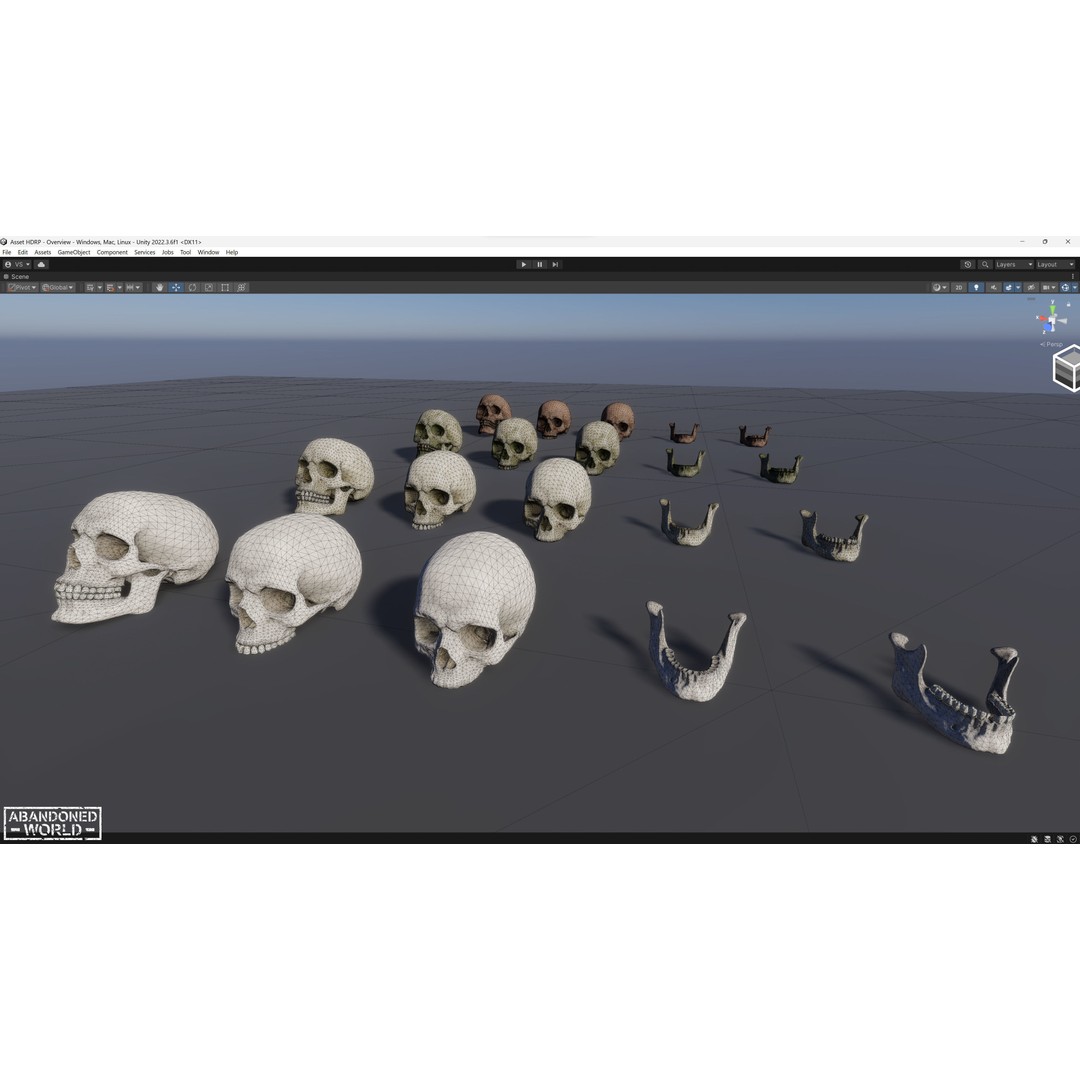 Human Skull 3D Model – Low Poly Game Ready Asset, FBX, PBR - View 18