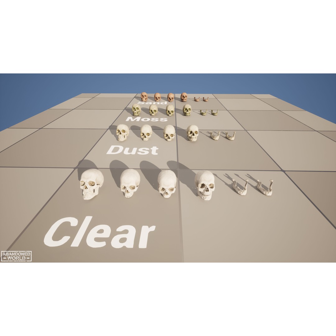 Human Skull 3D Model – Low Poly Game Ready Asset, FBX, PBR - View 19