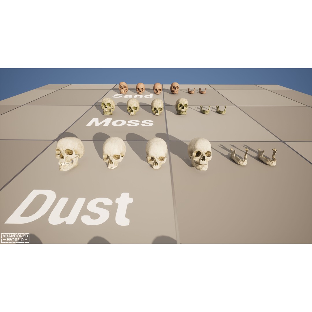 Human Skull 3D Model – Low Poly Game Ready Asset, FBX, PBR - View 20