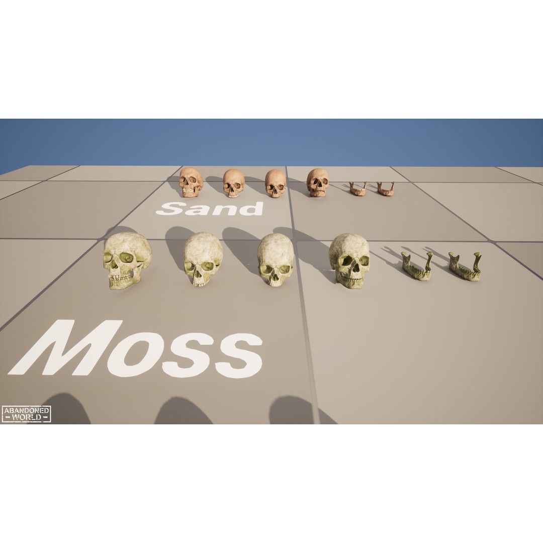 Human Skull 3D Model – Low Poly Game Ready Asset, FBX, PBR - View 21