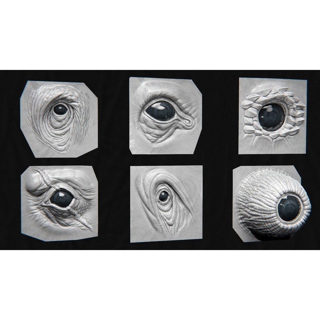 High Detailed Eye 3D Model – Creature Eye Sculpts for ZBrush & Blender - View 10