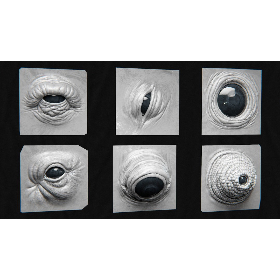 High Detailed Eye 3D Model – Creature Eye Sculpts for ZBrush & Blender - View 12